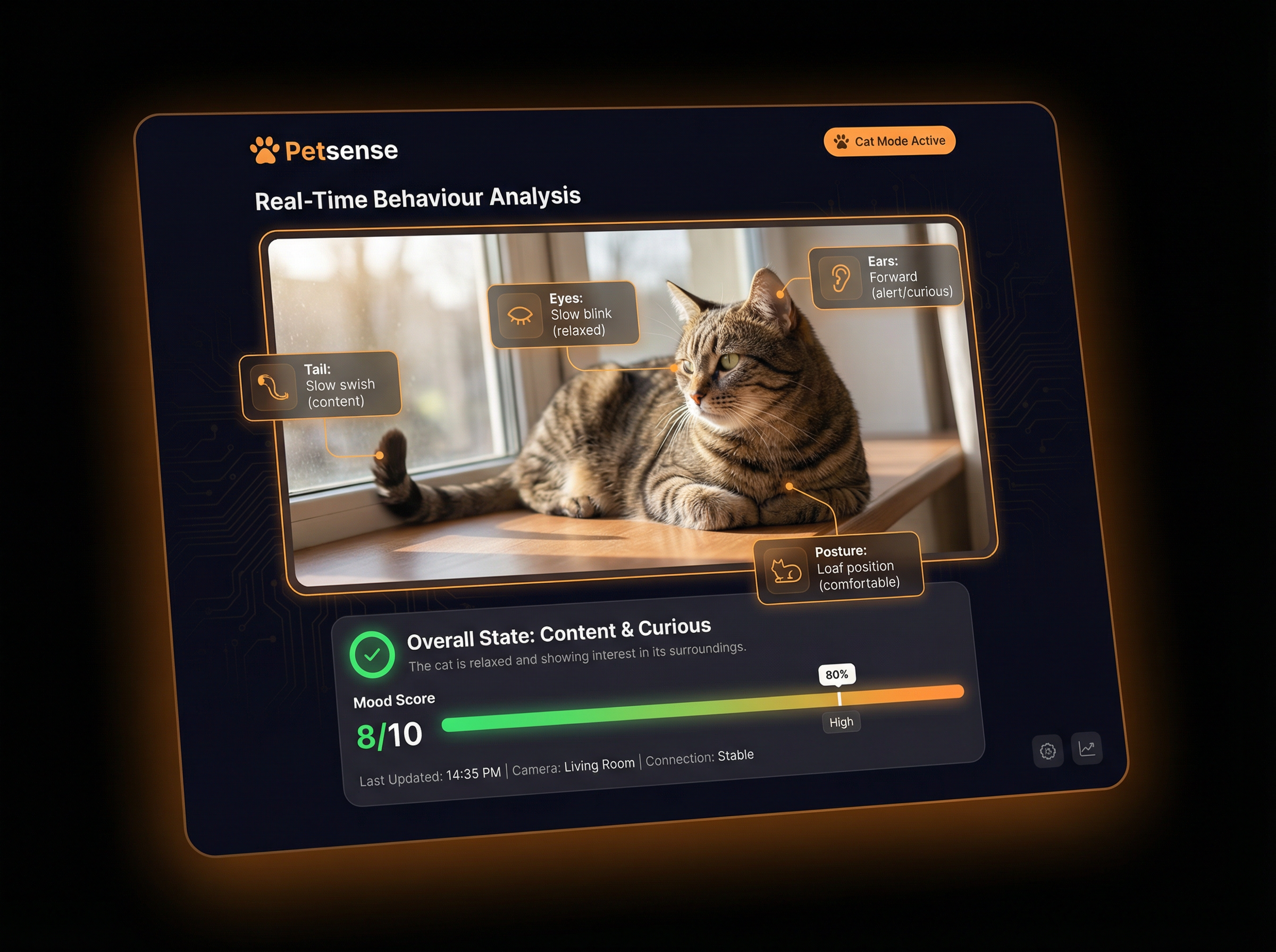 Real-Time Health Scan